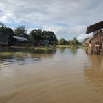 Flooded Jungle Village