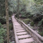 Trekking at Qingsheng Mountain