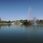 Tashkent Park 2
